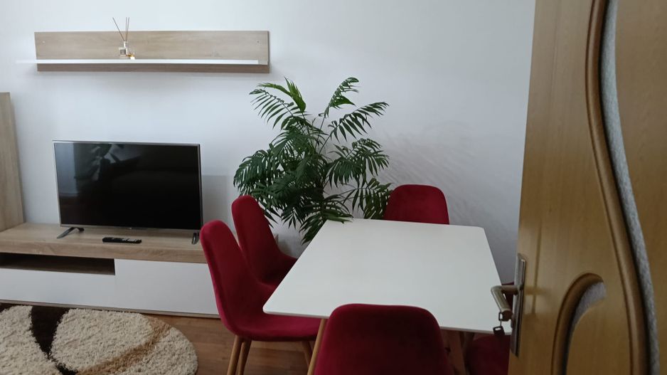De inchiriat apartament spatios cu vedere la Dunare , etaj 5, 500 euro - Poză 1