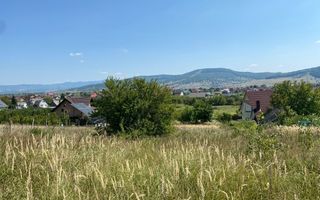 Teren intravilan 1300 mp-parcelabil-Viile cu Pomi-Unirea-Exclusiv - Poză 7