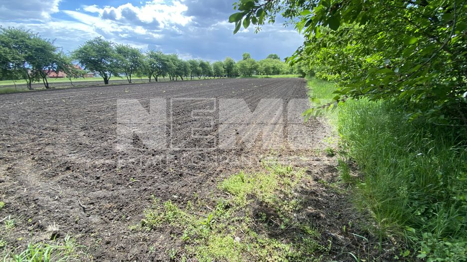 Teren Intravilan | 22 ARI | Horodnic De Jos - Poză 5