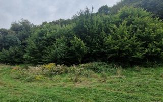 Teren Intravilan de vanzare Bistrita | 795 mp, priveliște panoramică - Poză 7