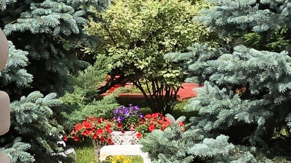 PROPRIETATE CU ENERGIE PURA |  Sanctuarul Eleganței și Rafinamentului - Poză 19