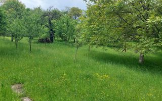 TEREN 1617 MP CAMPULUNG-MUSCEL - Poză 3