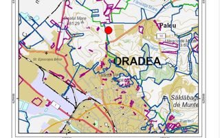TEREN INTRAVILAN DE VÂNZARE – PALEU | BIHOR - Poză 3