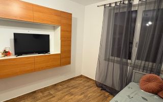 Apartament 2 camere PET FRIENDLY, Copou – lângă Universitate - Poză 3
