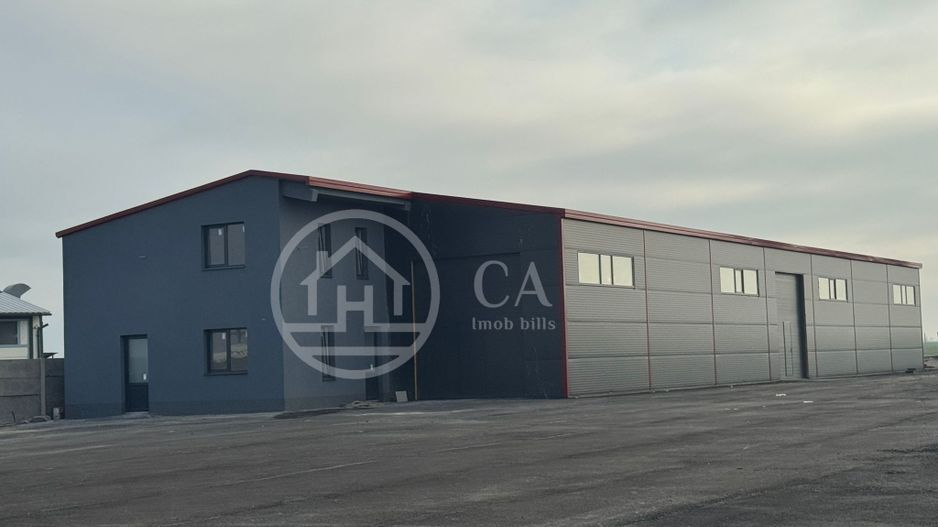 Hala de inchiriat, situata la intrare in Livada, Bihor - Poză 3