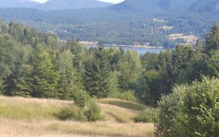 Teren intravilan de 200 ari la 1 km de lacul Colibița - Poză 1