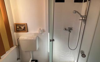 Vila cu piscina Herastrau | Panouri solare | Parcare | Rezidential sau birouri - Poză 10