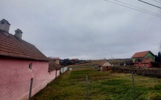 Teren | Intravilan 843 MPU | Sura Mica - Poză 3