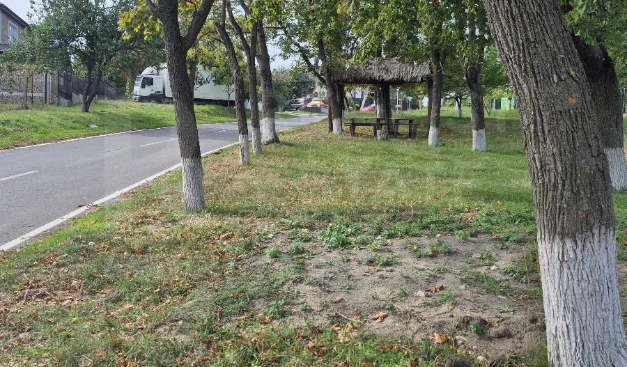 Vânzare, teren pentru construcție 6 ari, Cruzești - Poză 5