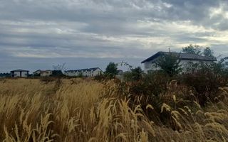 Teren Domnesti, strada Magnoliei - Poză 5