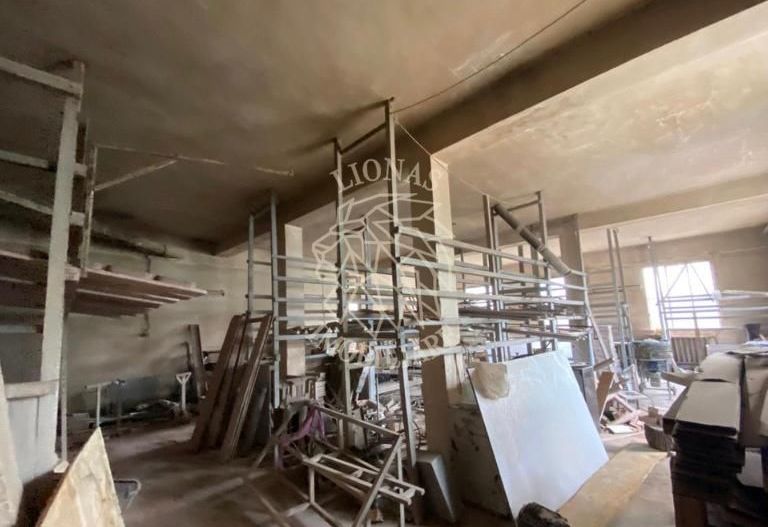 Business/Casa/Hala - 28 ari - Livezile- EXCLUSIVITATE - Poză 6