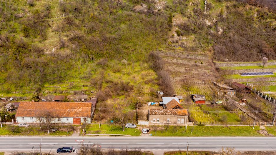 Teren Intravilan Pauliș - Poză 3