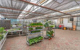 CASA BARTOLOMEU- sediu firma/ comercial/ servicii- zona circulata - Poză 13