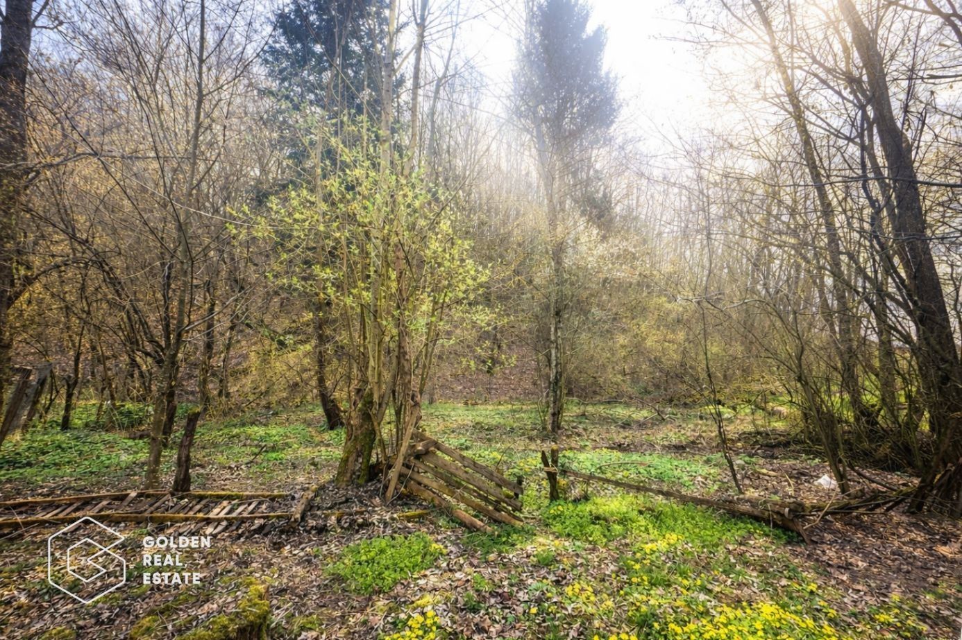 Casă cu teren generos 1.944 mp, Măgulicea, Vârfurile - Poză 17