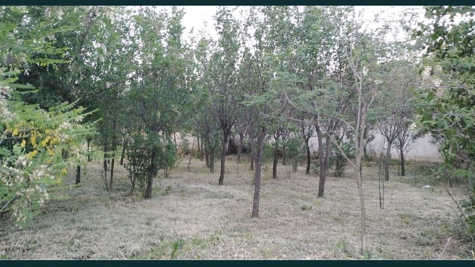 Ocazie Unica-2 Case+1 loc teren - Poză 4