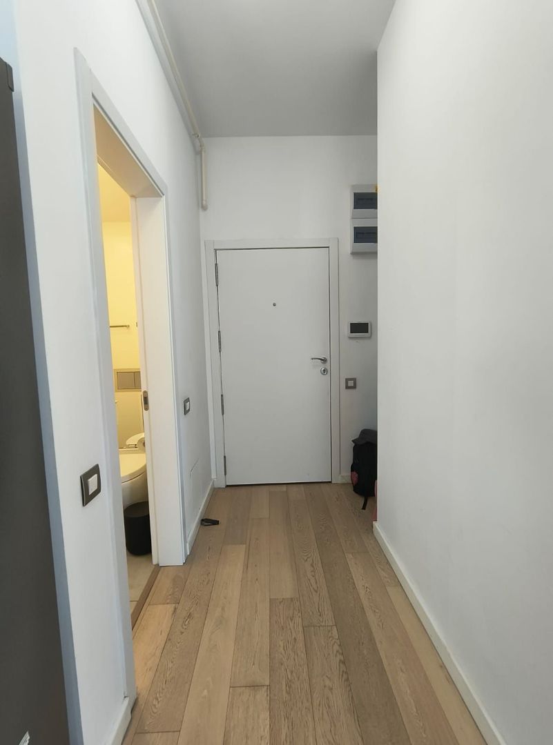 Ion Mihalache- Pta 1 Mai - Victoriei - Poză 9