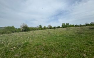 TEREN INTRAVILAN, 7472 MP, VALEA MARE PRAVAT, ARGES - Poză 10