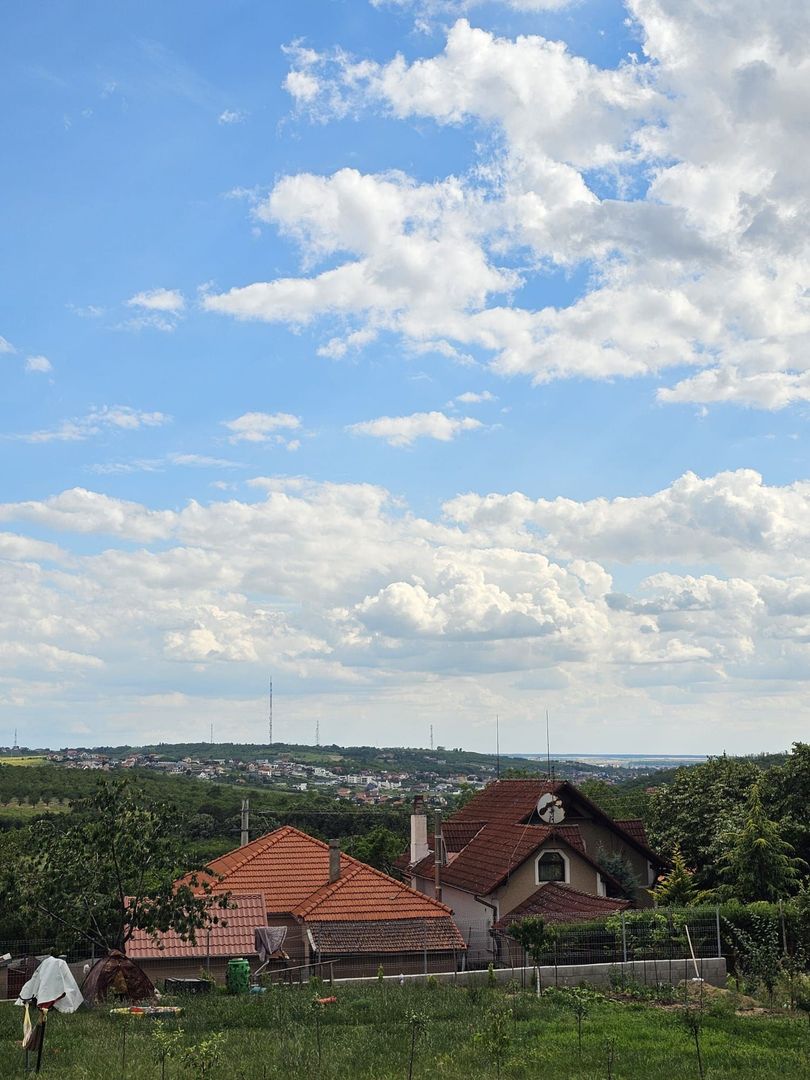 Teren construibil Saldabagiu de Munte 780 mp - Poză 7