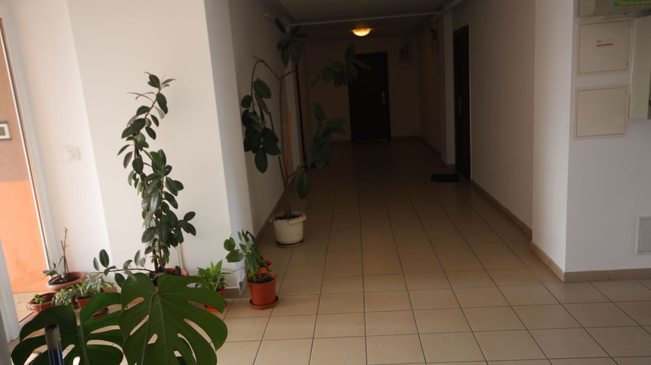 Apt cu  scara interioara  langa Kaufland Dumbravita - Poză 10