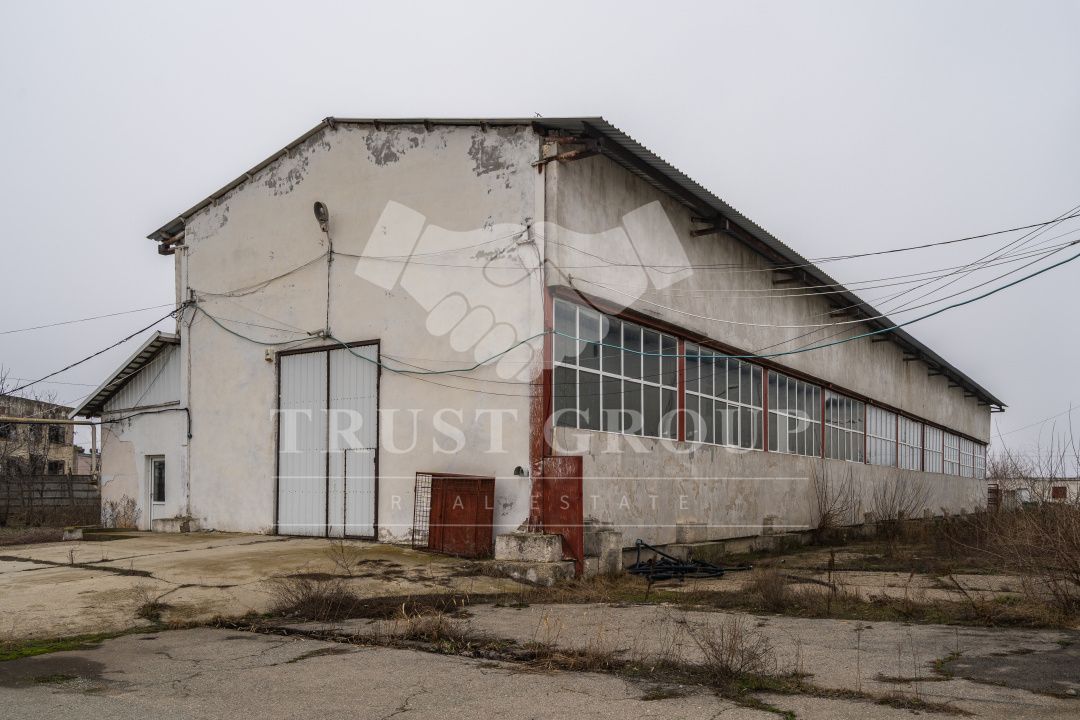 Teren 28.788m + Hale industriale + Sediu Firma - Poză 26