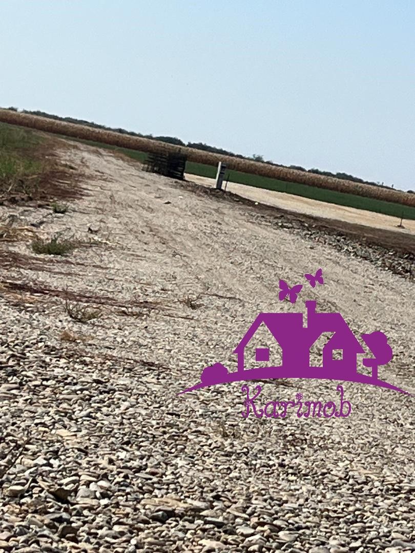 Teren industrial pentru hale - Poză 2