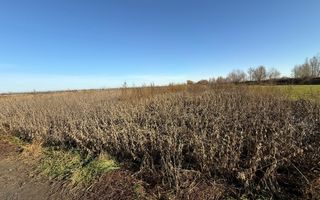 TEREN EXTRAVILAN | 35 ARI | HORODNIC DE JOS | - Poză 6