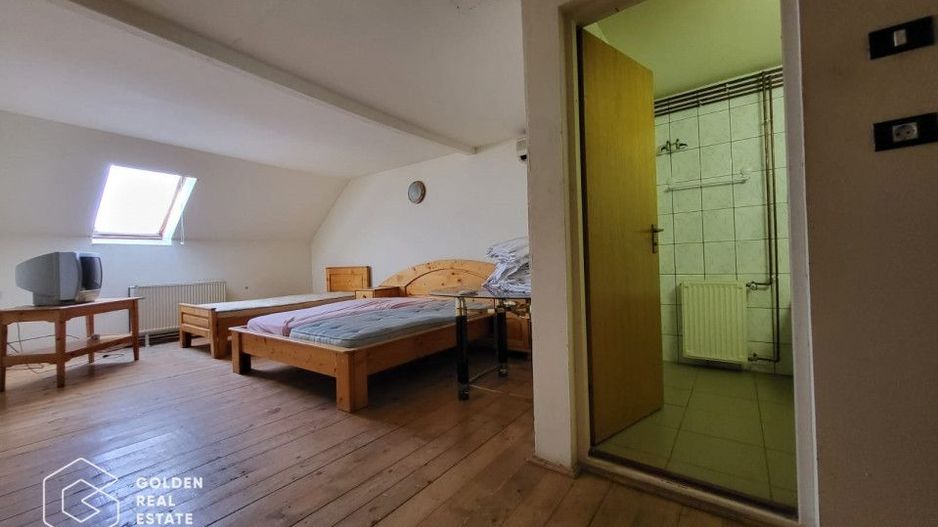 Casa P+1+M, Lipova - Poză 6