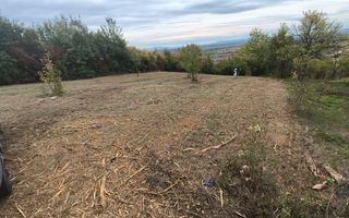 Teren intravilan de vânzare – 14 ari – Buzești – 25 minute de oraș - Poză 2