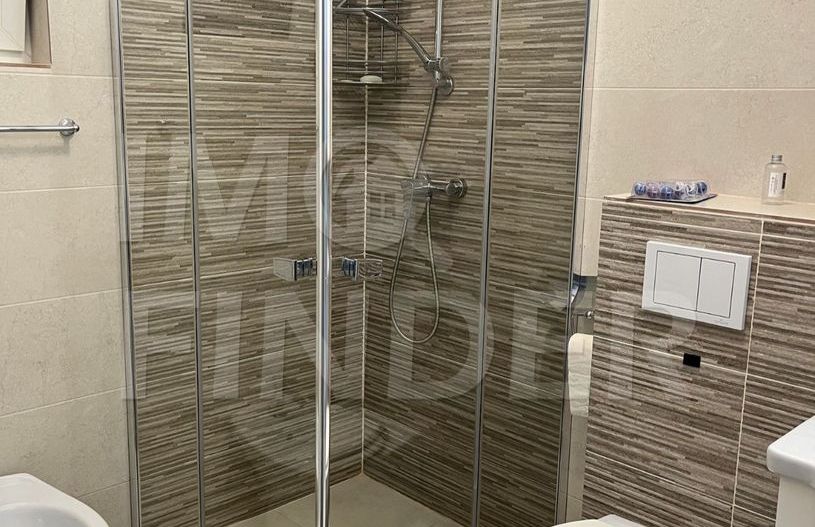 Inchiriere apartament de lux, 3 camere, Platinia, USAMV - Poză 10