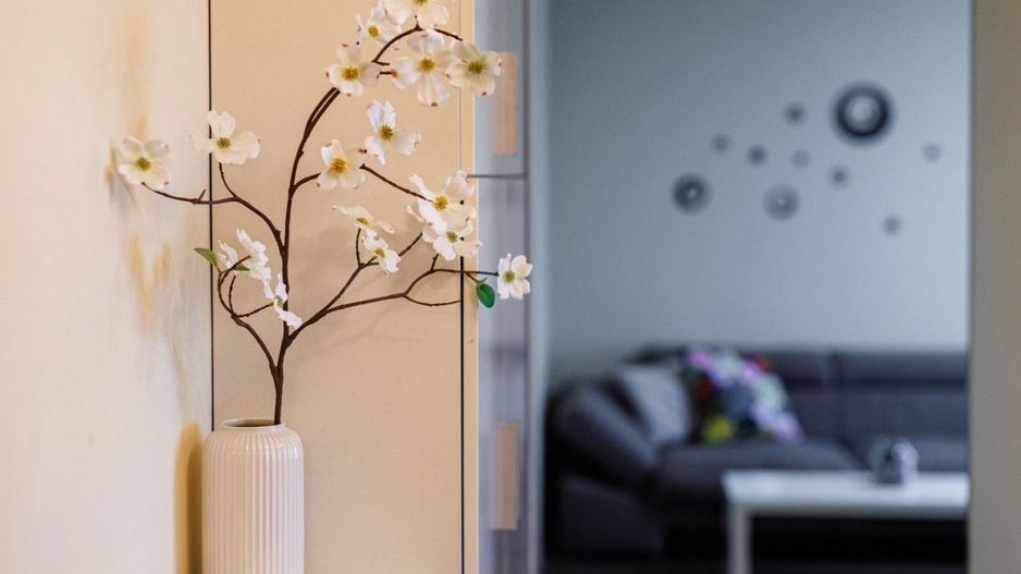 Apartament 2 camere, Piata Balcescu-Timisoara - Poză 18