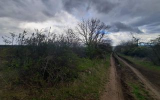 Teren agricol, Boșcana, 20 ari - Poză 2