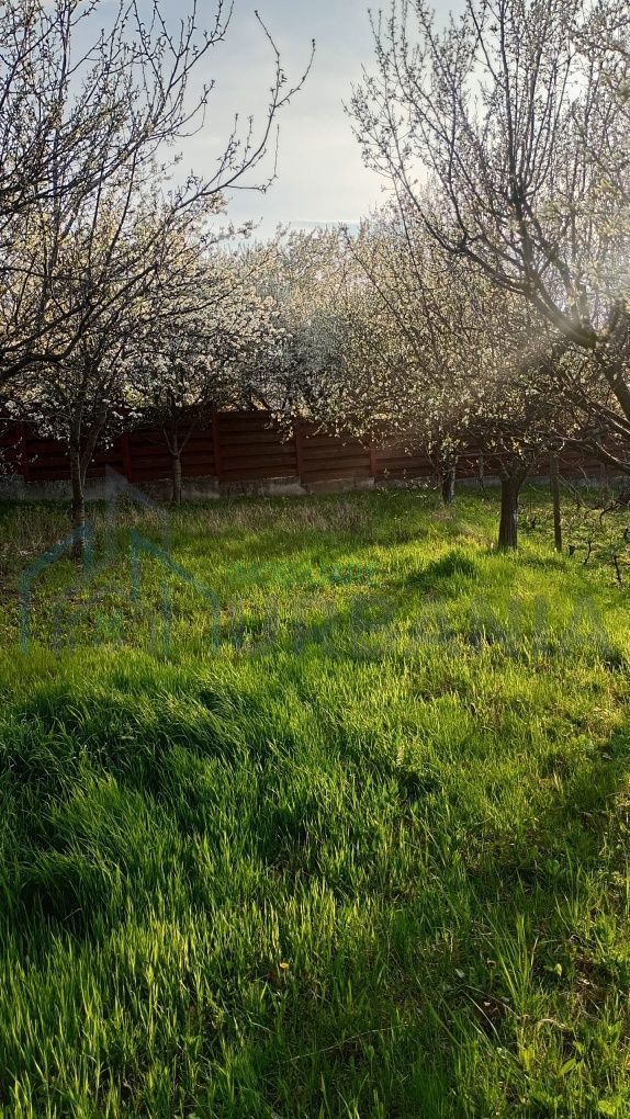 Teren de 2000 mp cu casă în Bucium Pietrarie, Iași – 3 camere, 2 băi, garaj - Poză 6