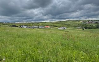 Teren intravilan Dealul Lavandei din Beldiceanu spre Săldăbagiu - Poză 3