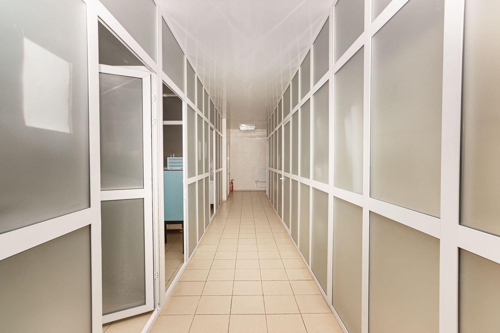 Proprietate specială de vânzare ”Fabrică de producere a medicamentelor de uz veterinar” - Poză 18