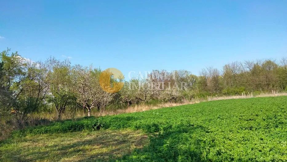 🏡 Casă cu livadă sat Prisăcani  - Teren 4500 mp - Poză 4