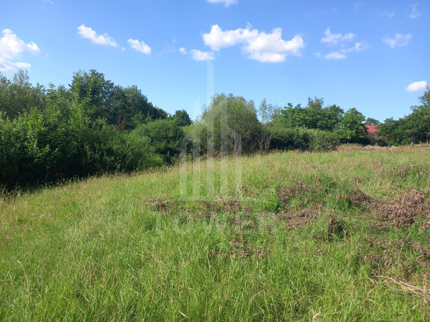 Teren în Fântânele – 3.673 mp, pârâu si cadru natural  deosebit - Poză 3