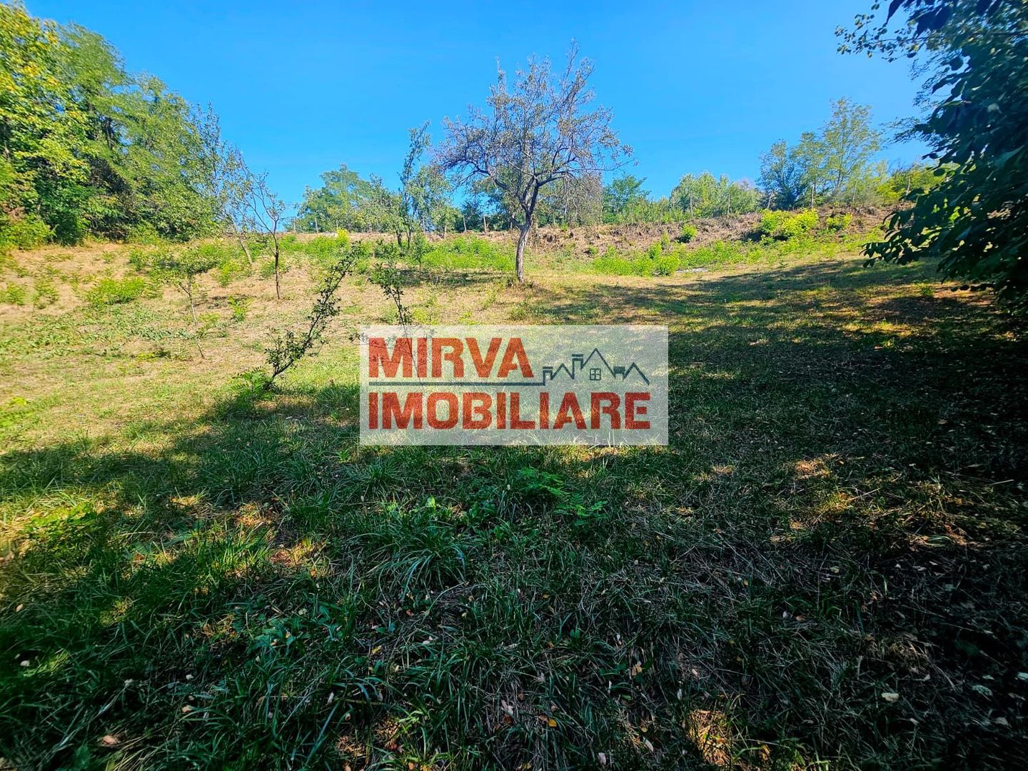 🌳 Teren intravilan 2322 mp, Păcuri – vedere superbă spre pădure! 🏡✨ - Poză 10