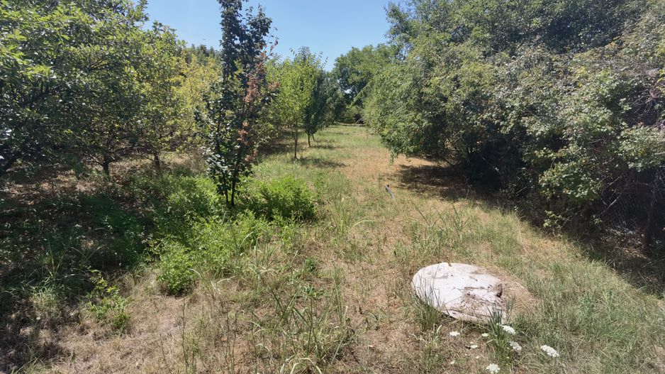 Spatiu industrial zona Sud-Arad - Poză 24