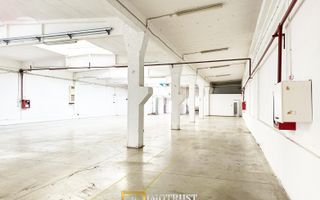 Hala industriala 675 mp, Arad central, acces TIR ideal depozit logitic - Poză 9