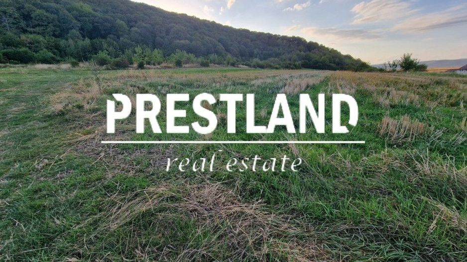 Teren pretabil cabana zona Poplaca  - Poză 2