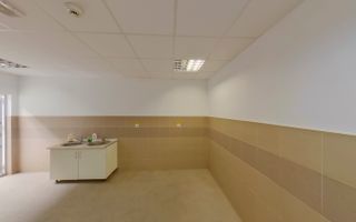 Hală industrială de închiriat 853 mp - Poză 7