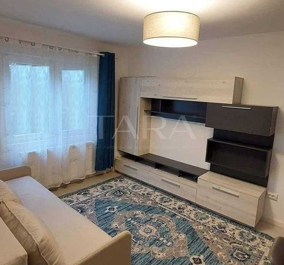 Apartament 2 camere, complet renovat, parter înalt, Mănăștur. - Poză 3