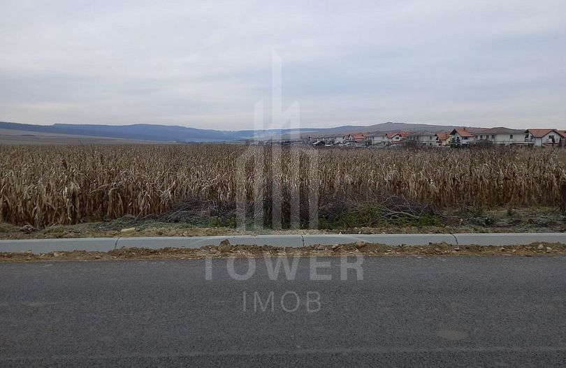 Teren INTRAVILAN | OPORTUNITATE | 7.000mp | Șura Mică - Poză 1