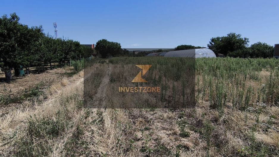 Teren intravilan Biharia 11058 mp - Poză 4