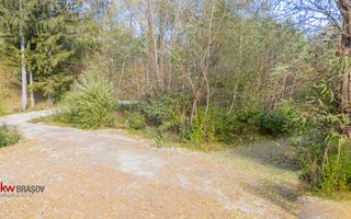 Teren intravilan în Zărnești, zona Tohanita, cu pădurice și parau curg - Poză 16