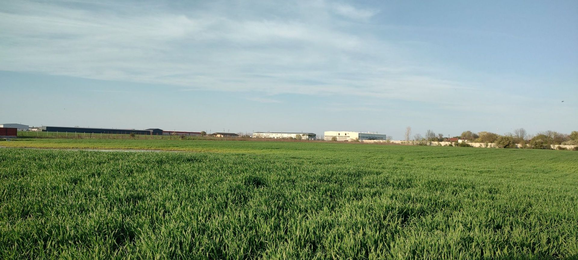 Pret minim!  teren de 1000 m2 în Balotești - Poză 3