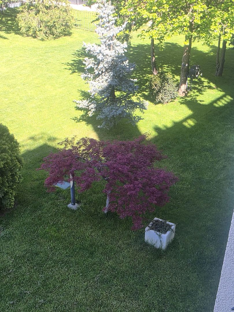 3 camere | Terasa vedere la piscina | Pipera | Școala Americanǎ - Poză 17