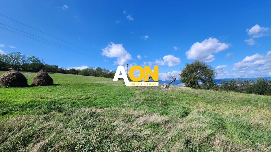 De vanzare 2965 mp teren intravilan, toate utilitatile, Oarda de Sus - Poză 9