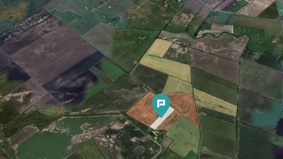 Teren extravilan de 28900 mp în Variașul Mare - Poză 5