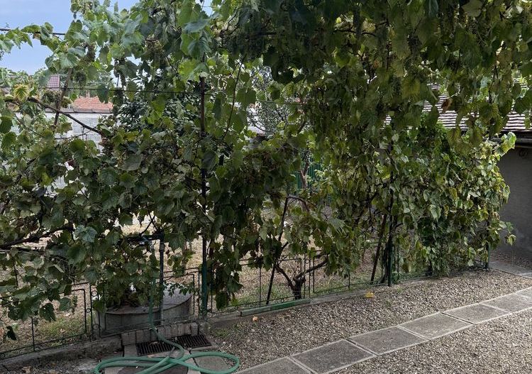 Casă de închiriat în Sebeș – zonă centrală - Poză 7